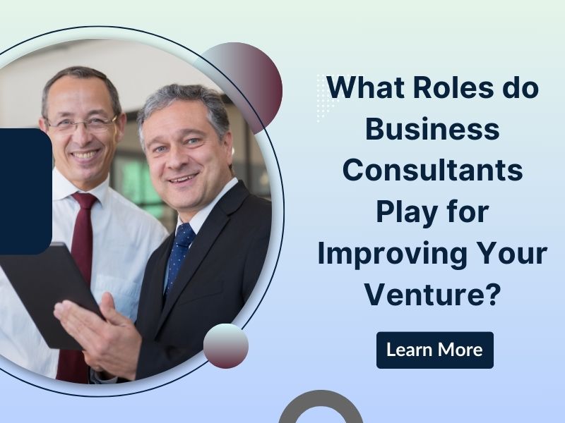 What Roles do Business Consultants Play for Improving Your Venture?